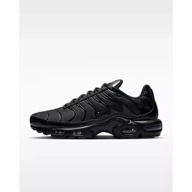 Nike Air Max Plus /Noir