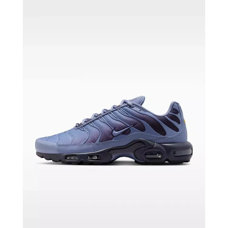Nike Air Max Plus World Indigo
