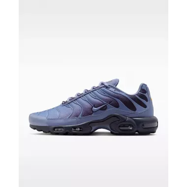 Nike Air Max Plus World Indigo